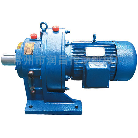 Cycloidal pin wheel reducer